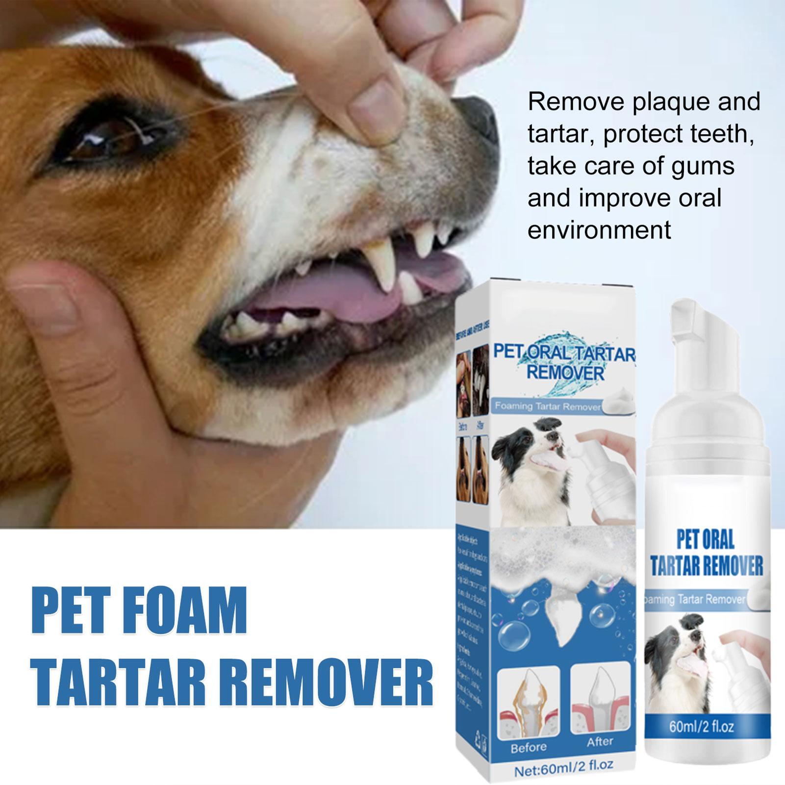 새로운 60ml 애완동물 구강케어 폼 순한 치아 세정  - Teeth Whitening Foam 리뷰 및 가격